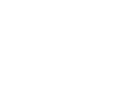 Fórmula Tatuador Pro